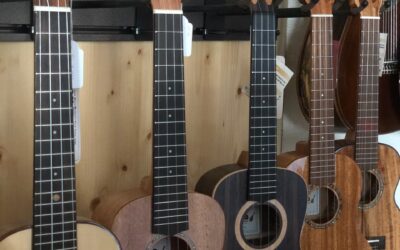 Wie wird eine Ukulele gestimmt ?