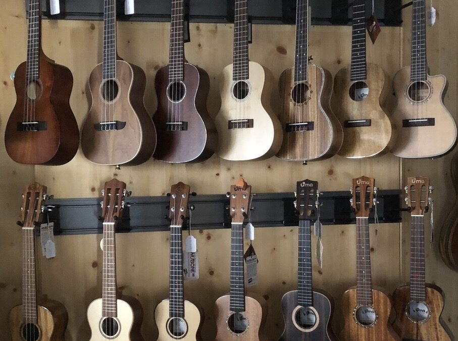 Welche Ukulele ist die richtige für mich?